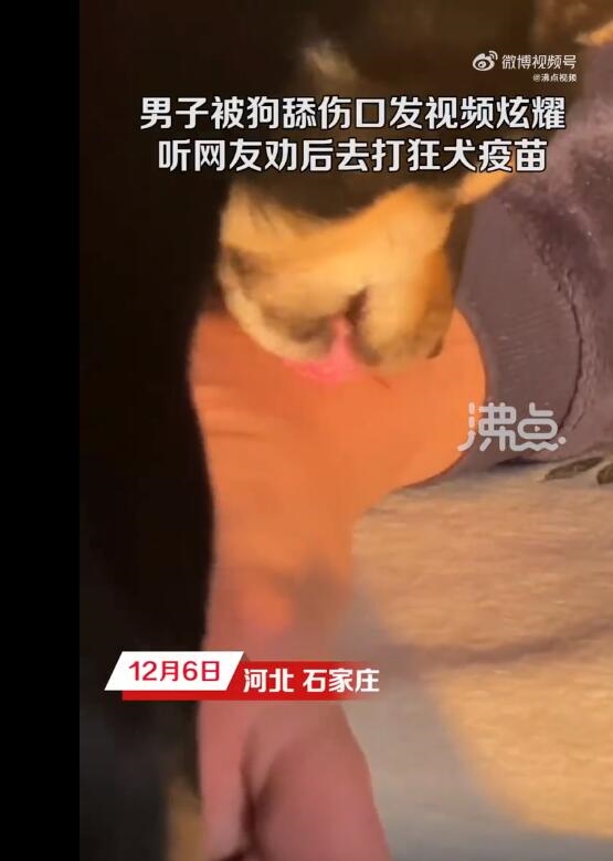 男子被狗舔伤口发视频炫耀狗子贴心：听网友劝后打狂犬疫苗